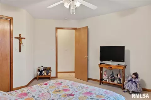 1135 Sugar Tree Ct, Chatham, IL 62629 photo 23