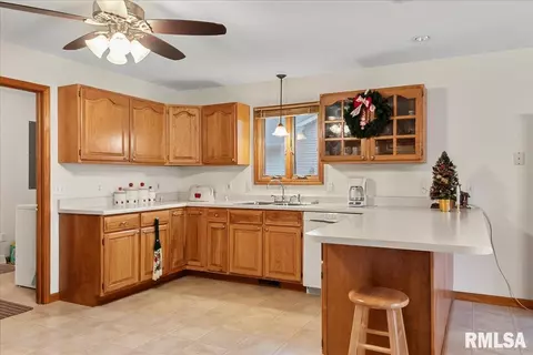 1135 Sugar Tree Ct, Chatham, IL 62629 photo 11