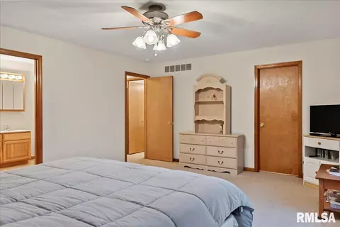 1135 Sugar Tree Ct, Chatham, IL 62629 photo 17
