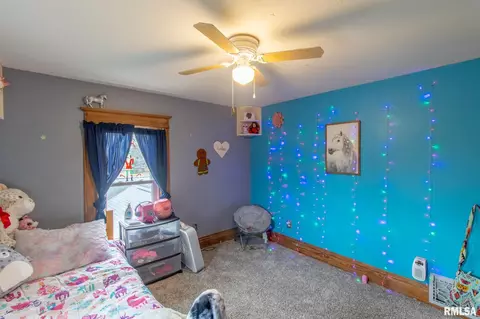 248 Academy St, Cameron, IL 61423 photo 29