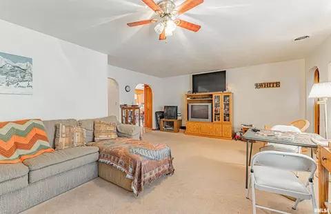313 N Scott St, Mount Pulaski, IL 62548 photo 6