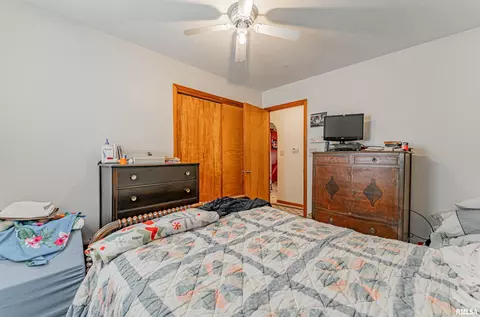 313 N Scott St, Mount Pulaski, IL 62548 photo 13