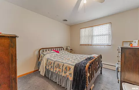 313 N Scott St, Mount Pulaski, IL 62548 photo 12