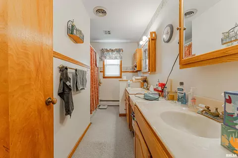 313 N Scott St, Mount Pulaski, IL 62548 photo 17
