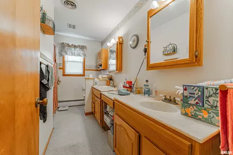 313 N Scott St, Mount Pulaski, IL 62548 photo 16