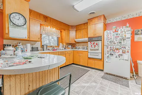 313 N Scott St, Mount Pulaski, IL 62548 photo 9
