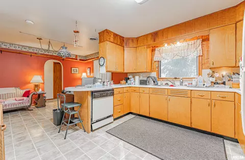 313 N Scott St, Mount Pulaski, IL 62548 photo 10