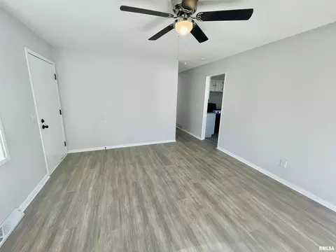 2461 E Griffiths Ave, Springfield, IL 62702 photo 14