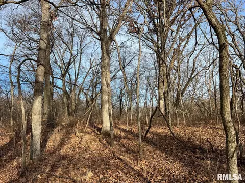 000 Boy Scout Rd, Hettick, IL 62649 photo 30