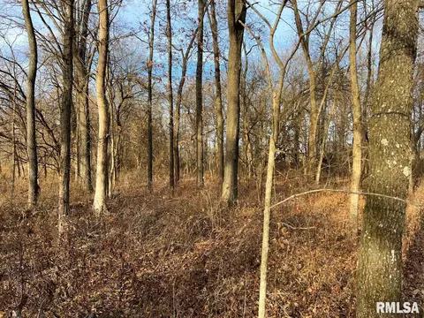 000 Boy Scout Rd, Hettick, IL 62649 photo 47