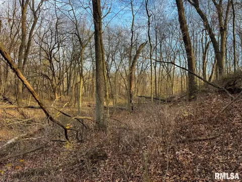 000 Boy Scout Rd, Hettick, IL 62649 photo 64
