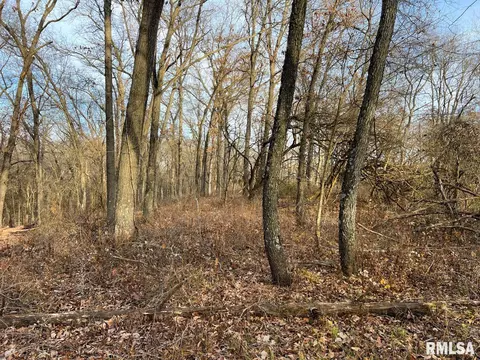000 Boy Scout Rd, Hettick, IL 62649 photo 58