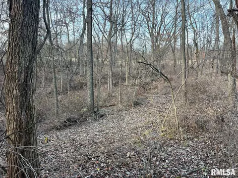 000 Boy Scout Rd, Hettick, IL 62649 photo 70