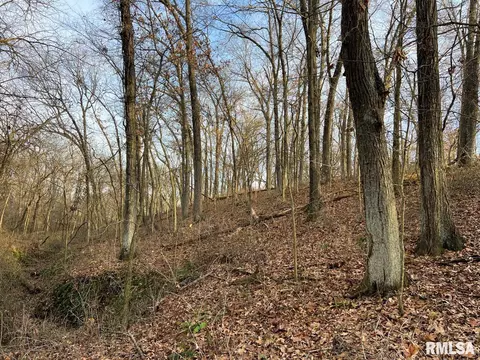 000 Boy Scout Rd, Hettick, IL 62649 photo 53