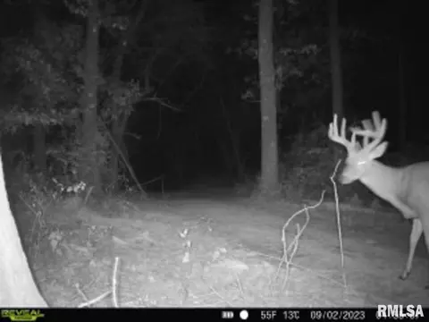 000 Boy Scout Rd, Hettick, IL 62649 photo 89