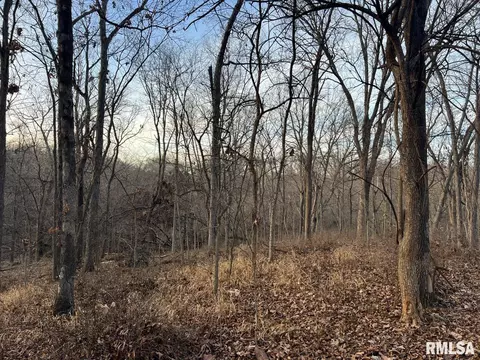 000 Boy Scout Rd, Hettick, IL 62649 photo 75