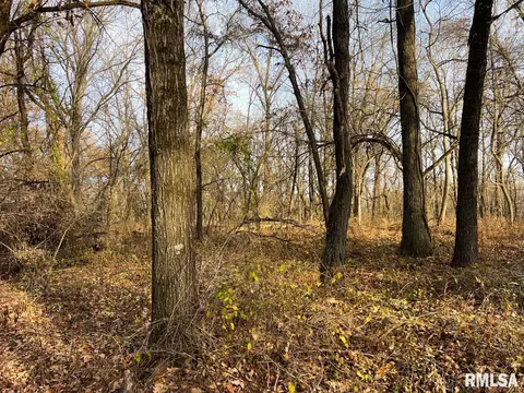 000 Boy Scout Rd, Hettick, IL 62649 photo 61