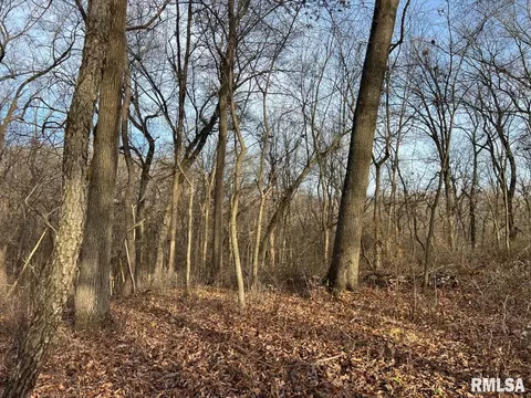 000 Boy Scout Rd, Hettick, IL 62649 photo 29