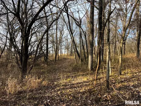 000 Boy Scout Rd, Hettick, IL 62649 photo 62