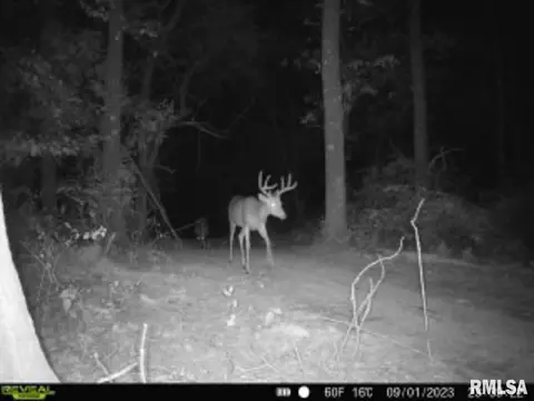 000 Boy Scout Rd, Hettick, IL 62649 photo 87