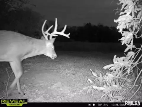 000 Boy Scout Rd, Hettick, IL 62649 photo 92