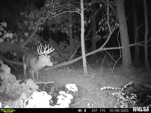 000 Boy Scout Rd, Hettick, IL 62649 photo 96