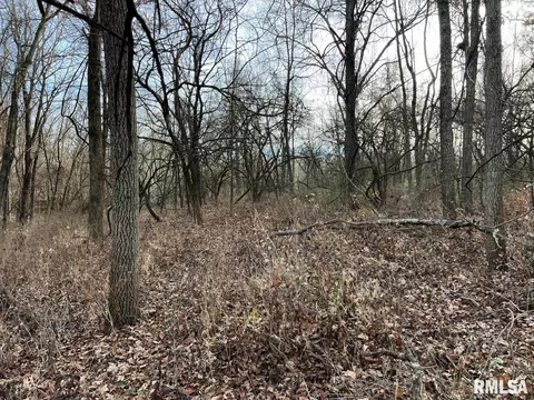 000 Boy Scout Rd, Hettick, IL 62649 photo 43