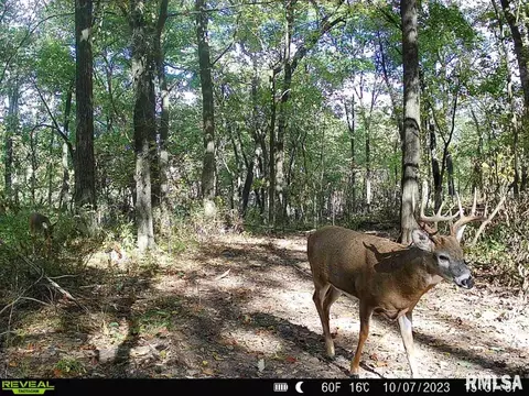 000 Boy Scout Rd, Hettick, IL 62649 photo 91