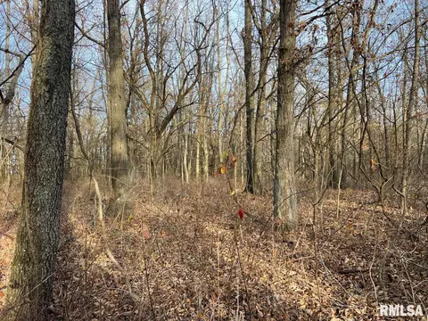 000 Boy Scout Rd, Hettick, IL 62649 photo 49