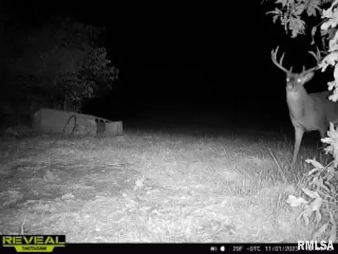 000 Boy Scout Rd, Hettick, IL 62649 photo 94