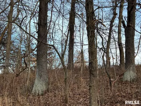 000 Boy Scout Rd, Hettick, IL 62649 photo 38