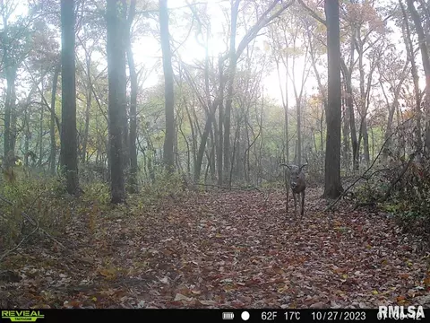 000 Boy Scout Rd, Hettick, IL 62649 photo 84
