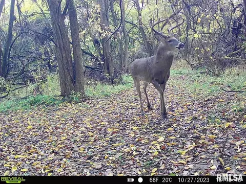 000 Boy Scout Rd, Hettick, IL 62649 photo 93