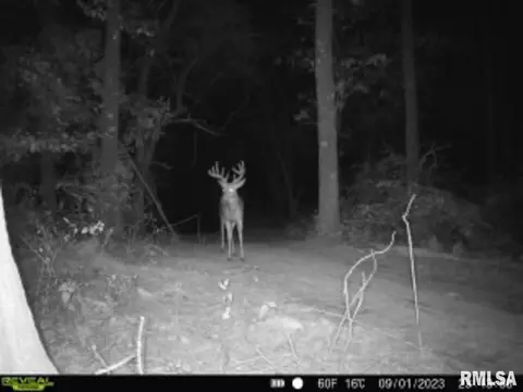 000 Boy Scout Rd, Hettick, IL 62649 photo 88