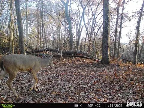 000 Boy Scout Rd, Hettick, IL 62649 photo 86
