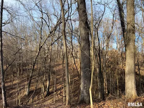 000 Boy Scout Rd, Hettick, IL 62649 photo 26