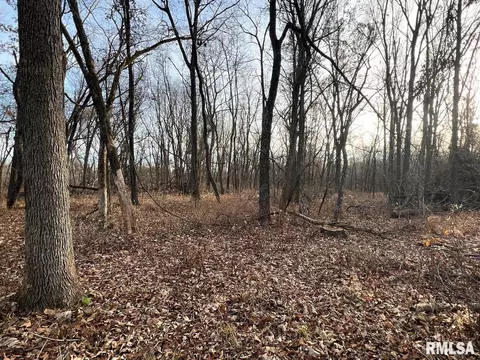 000 Boy Scout Rd, Hettick, IL 62649 photo 42