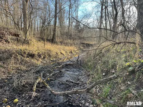 000 Boy Scout Rd, Hettick, IL 62649 photo 22