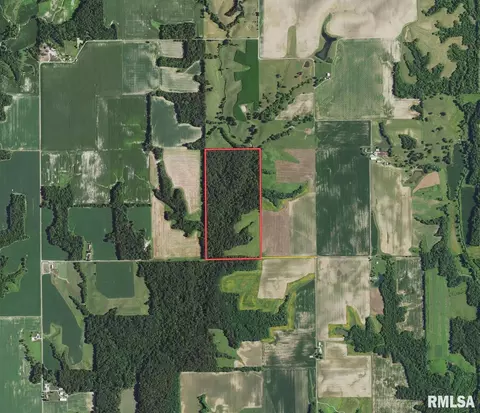 000 Boy Scout Rd, Hettick, IL 62649 photo 3