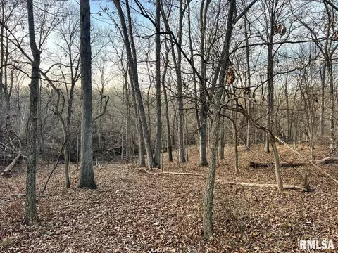 000 Boy Scout Rd, Hettick, IL 62649 photo 78