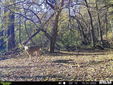 000 Boy Scout Rd, Hettick, IL 62649 photo 95