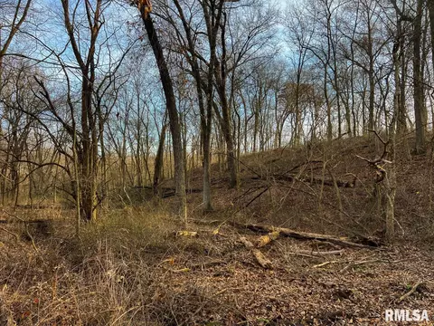 000 Boy Scout Rd, Hettick, IL 62649 photo 63