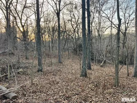 000 Boy Scout Rd, Hettick, IL 62649 photo 77