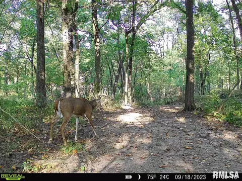 000 Boy Scout Rd, Hettick, IL 62649 photo 90