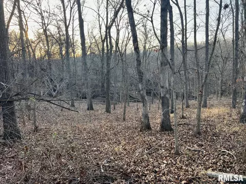000 Boy Scout Rd, Hettick, IL 62649 photo 76