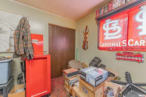 401 W Olive St, Chestnut, IL 62518 photo 19