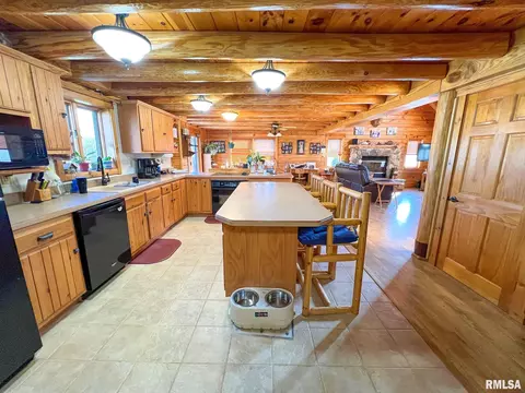 10466 Hacke Rd, Plainview, IL 62685 photo 16