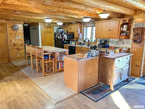 10466 Hacke Rd, Plainview, IL 62685 photo 18