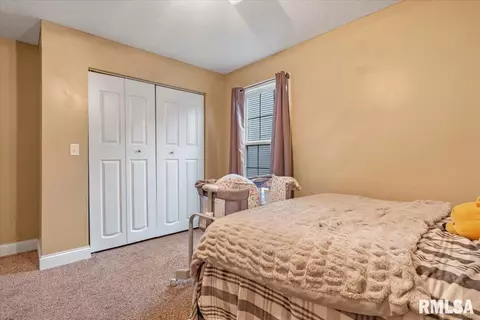 406 E Spruce St, Chatham, IL 62629 photo 23