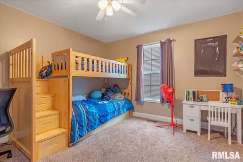 406 E Spruce St, Chatham, IL 62629 photo 19